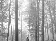 taylor swift folklore